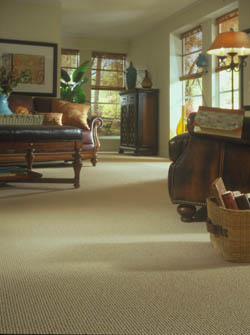 Carpet Flooring In Springfield Il Free Consultations Carpet Flooring